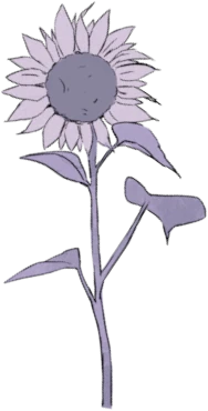 Dessin d'un tournesol dans le footer