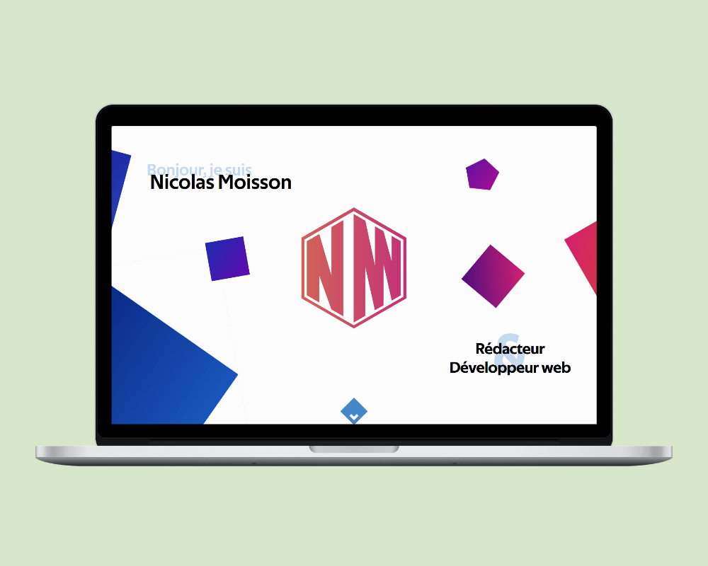 Capture d'écran d'un mockup du site pro